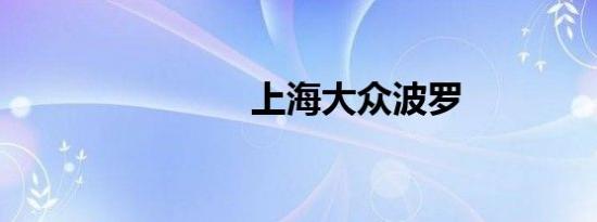 上海大众波罗