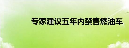 专家建议五年内禁售燃油车