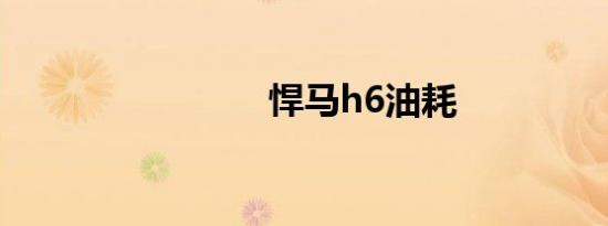 悍马h6油耗