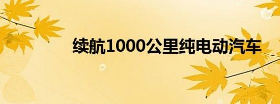 续航1000公里纯电动汽车