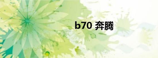 b70 奔腾