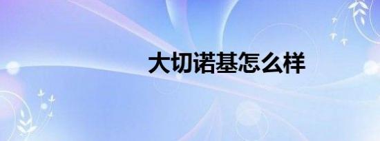 大切诺基怎么样
