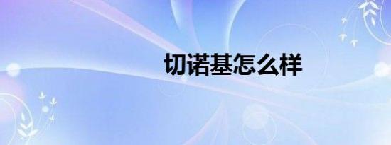 切诺基怎么样