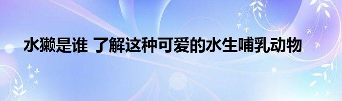水獭是谁 了解这种可爱的水生哺乳动物